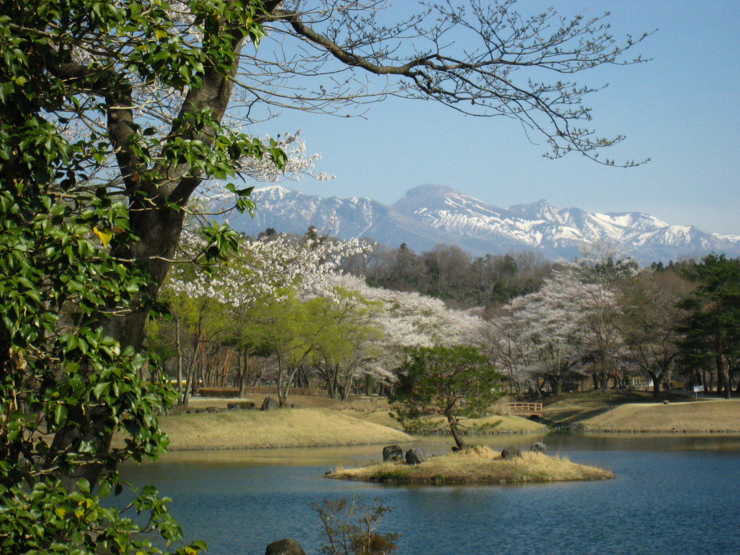 ご利用料金の改定のお知らせ
