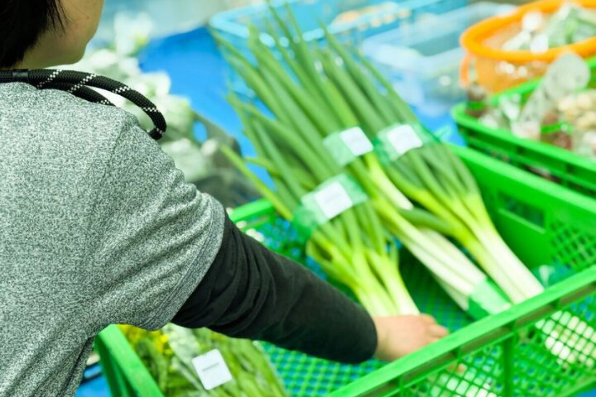 ＼鳥野目産直会 開催中！／