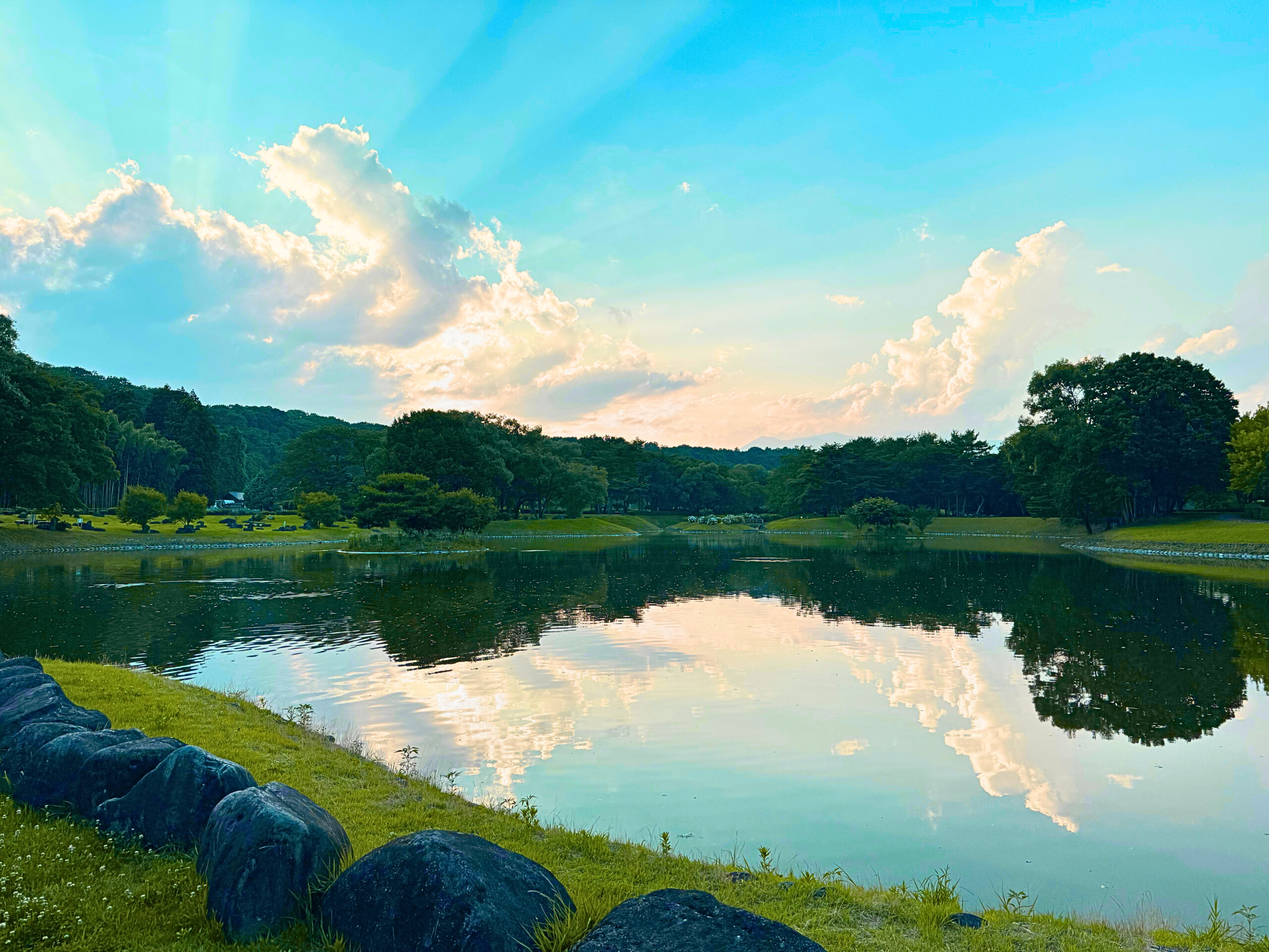 鳥野目河川公園オートキャンプ場で出会う、身近な自然の世界