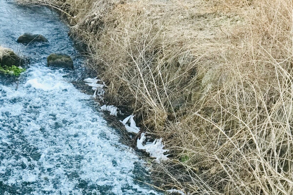 厳しい冷え込みで氷柱が！