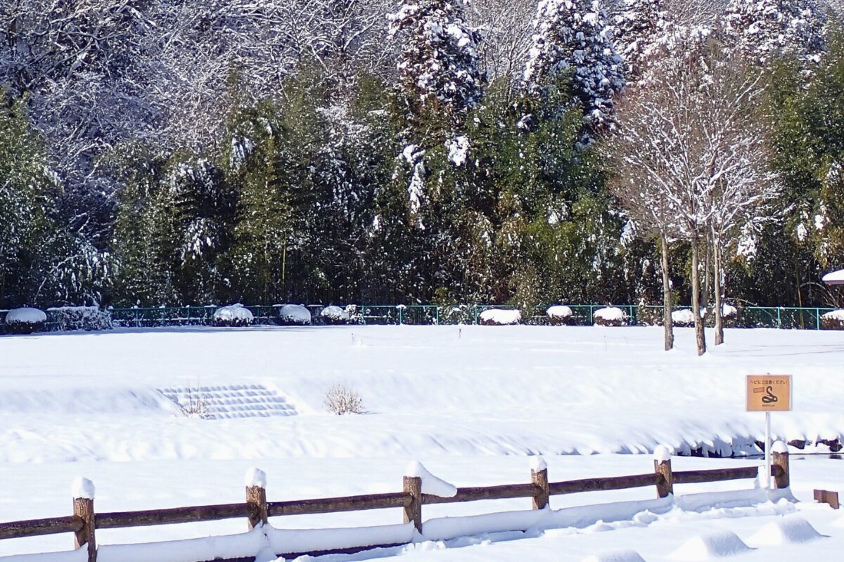 ペットサイトは雪原!