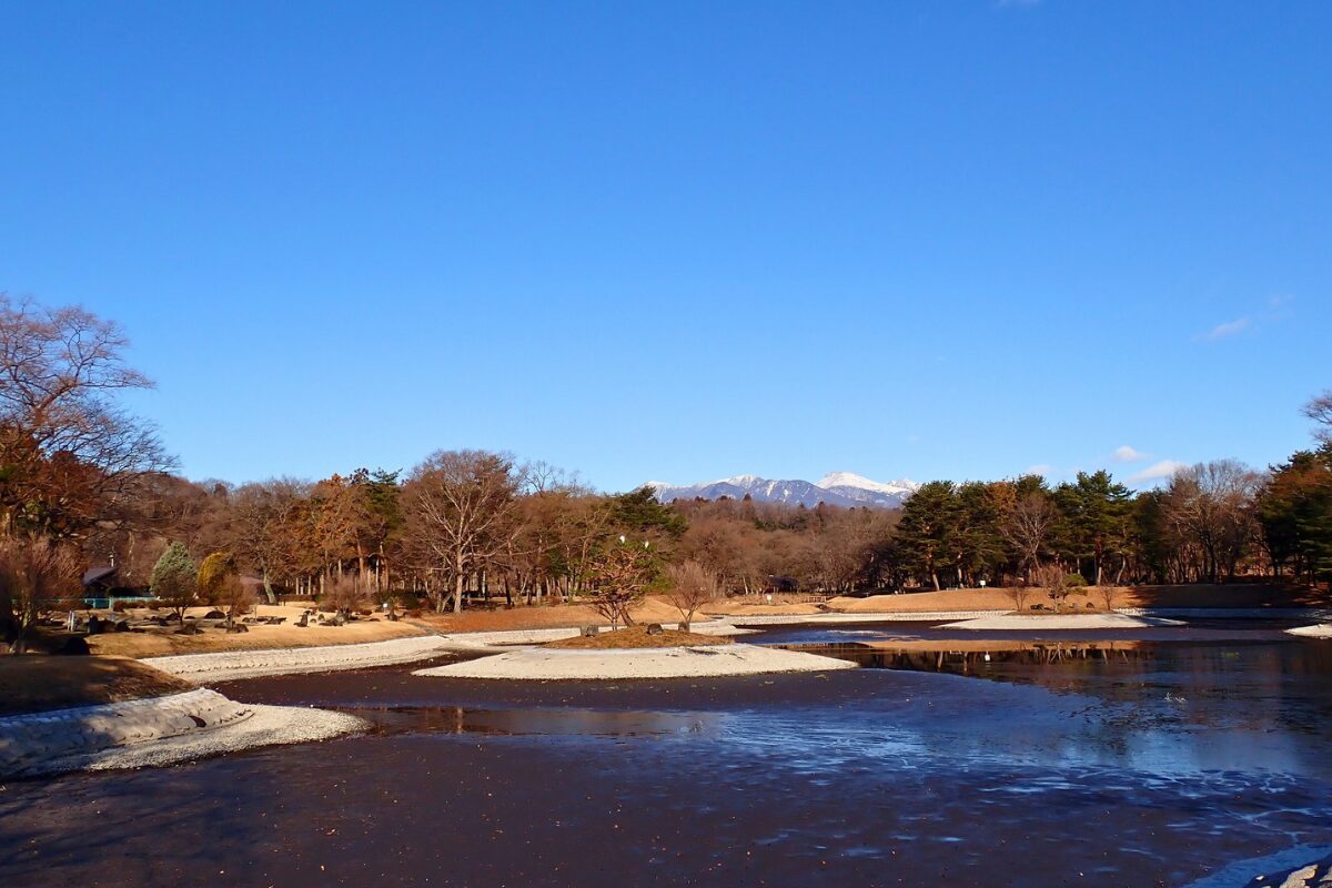 本年の営業をスタートしました！
