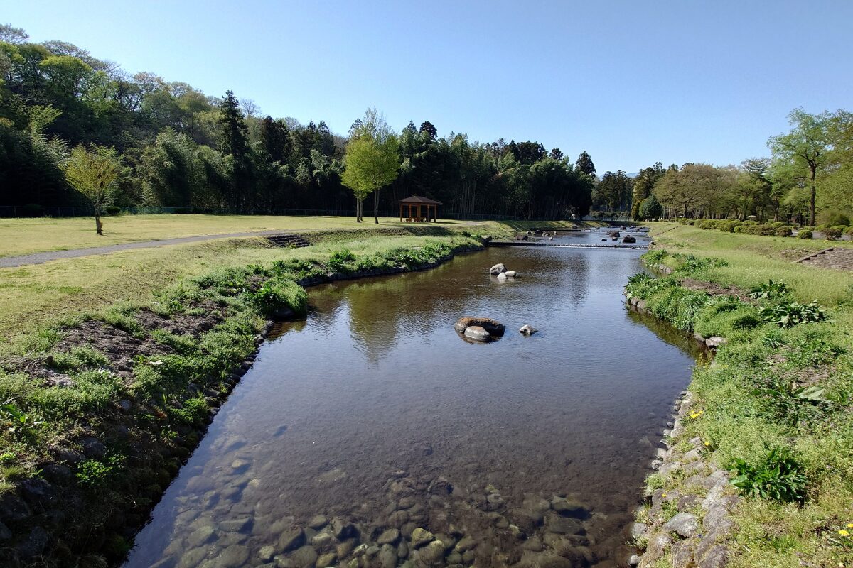 せせらぎ水路で水遊びもできます。水路沿いにも木陰があります。