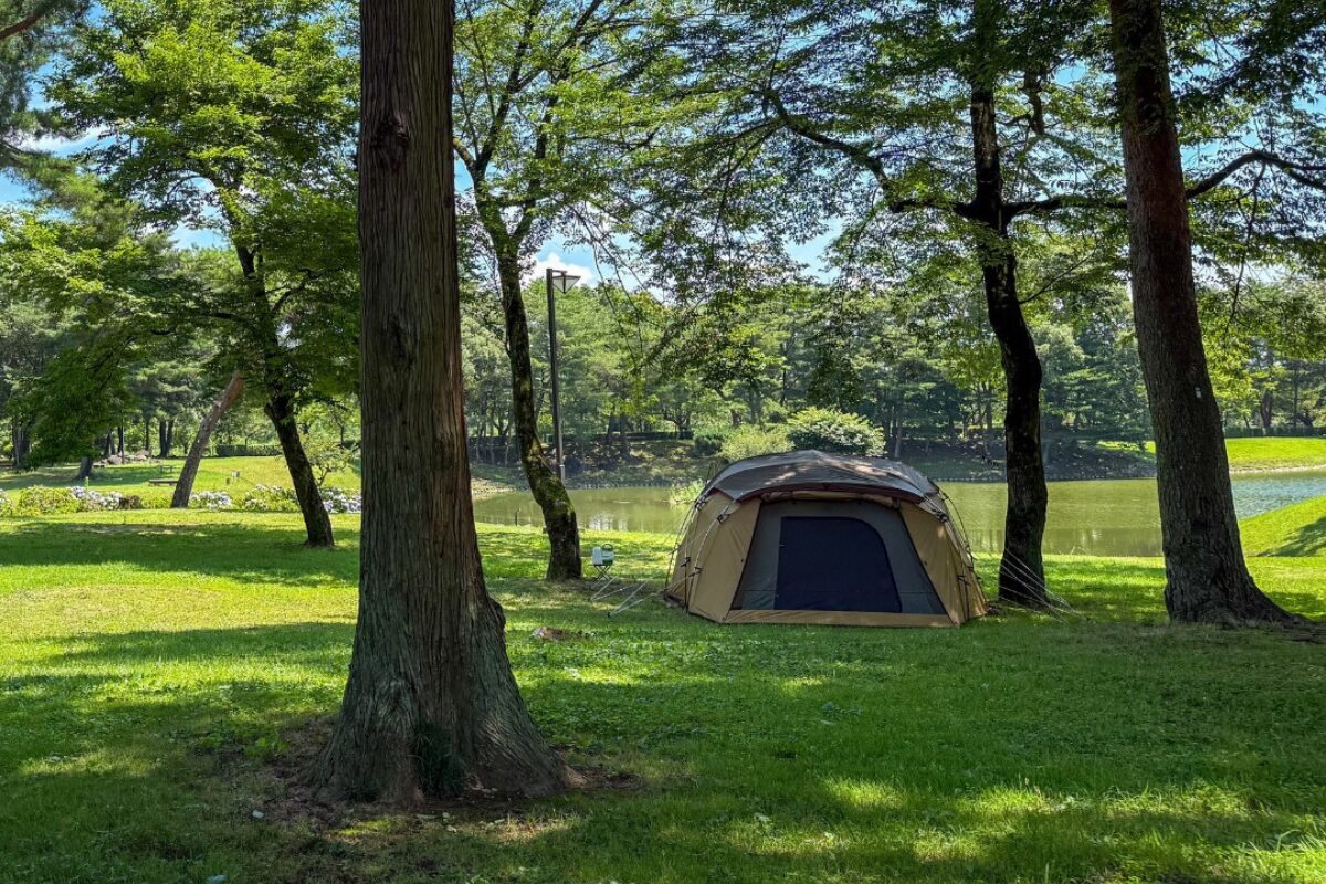 木陰のサイト。サイトを一歩離れて林間エリアで涼むのもおすすめ。