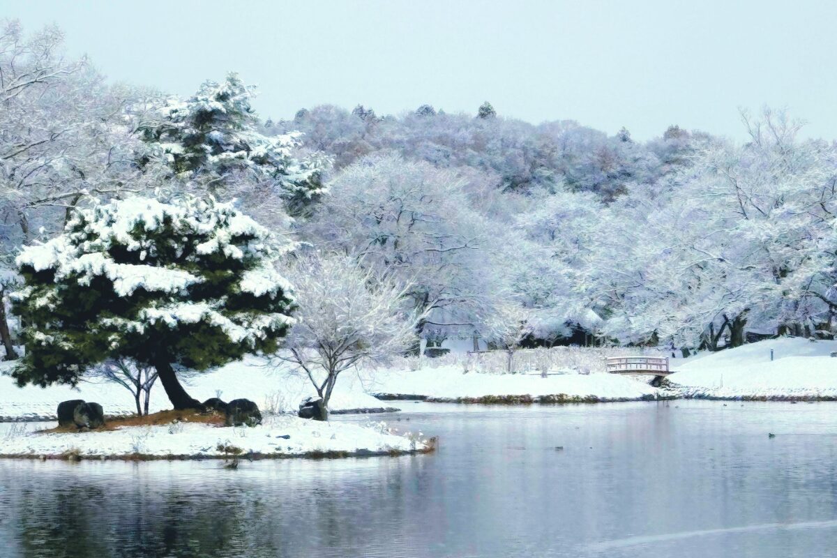 雪が降れば一面の銀世界が広がります
