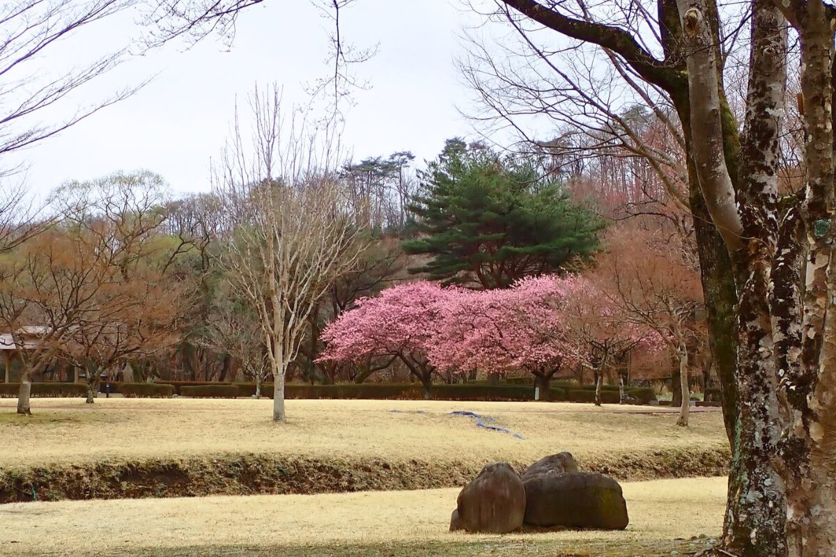 TRP Word Press 入稿用 1200800 (6)