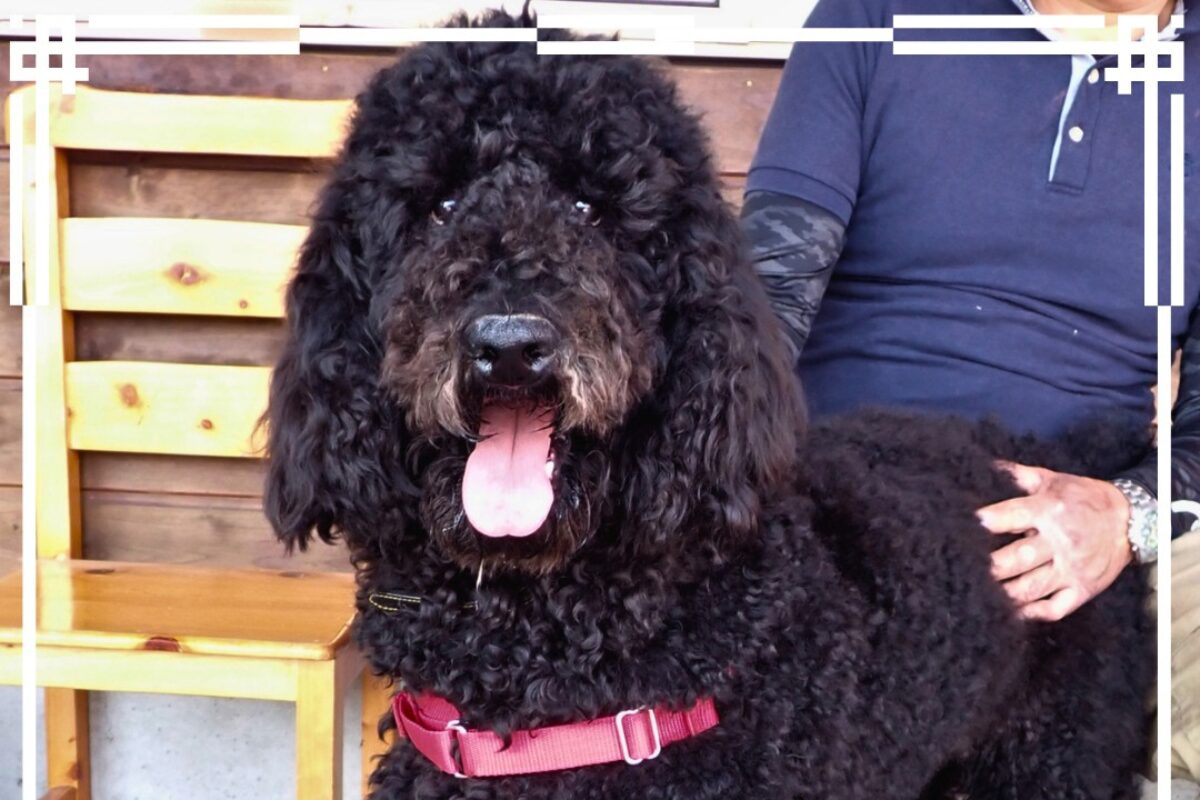 TRP Word Press 入稿用 1200800 (7)