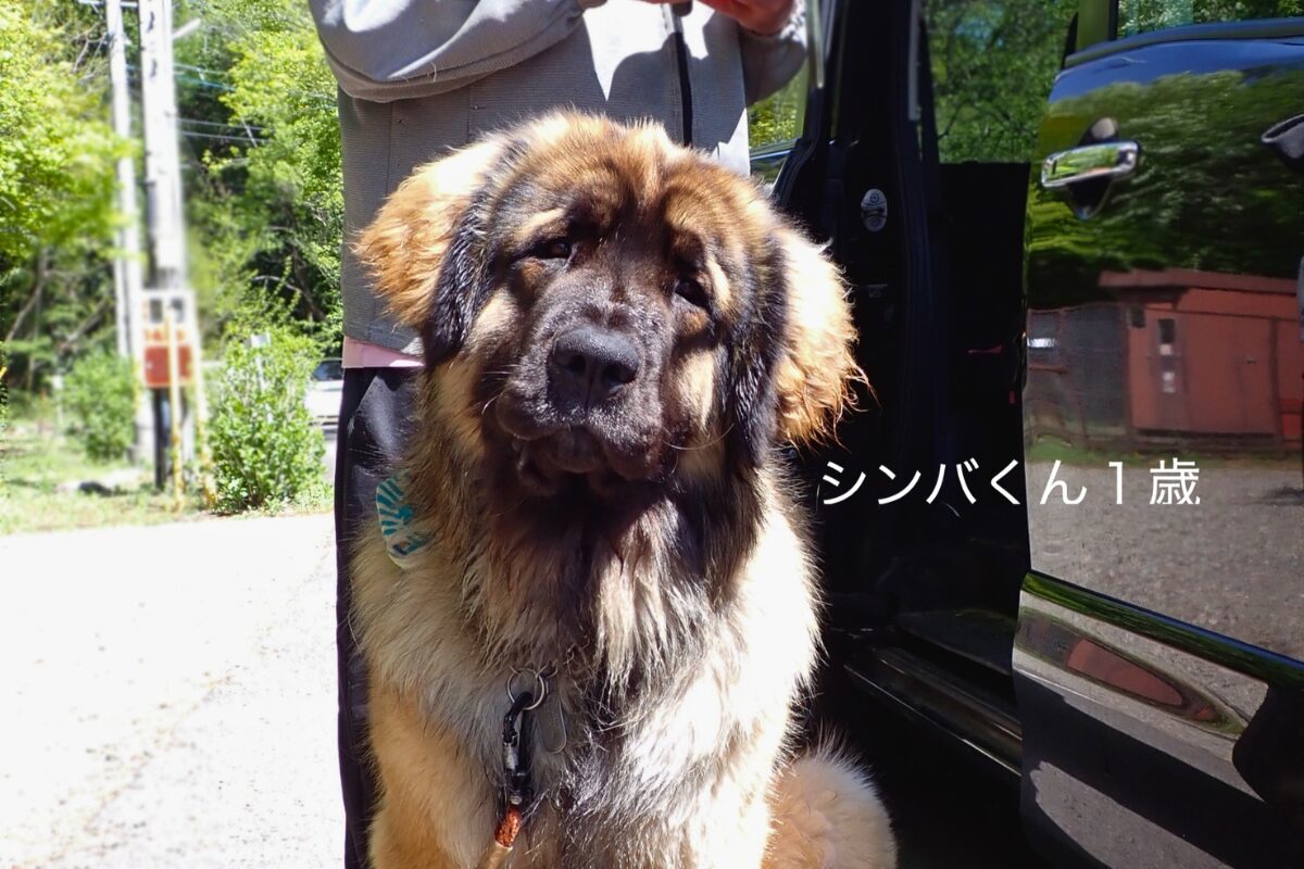TRP Word Press 入稿用 1200800 (8)