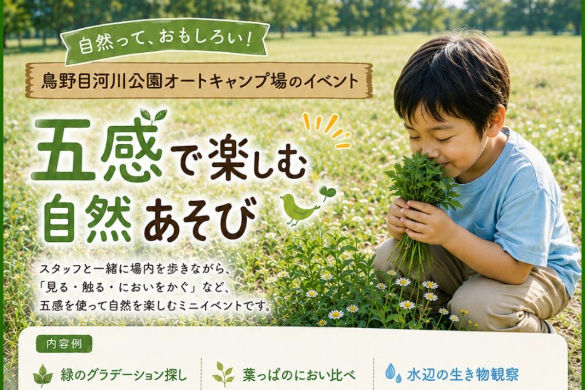 五感で楽しむ_アイキャッチ用